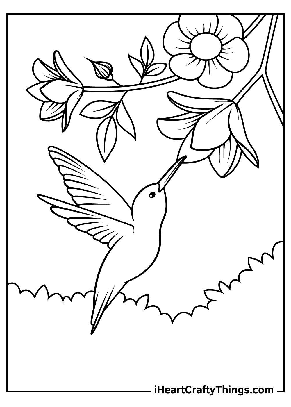 Free Printable Hummingbird Template Free Printable Hummingbird Template