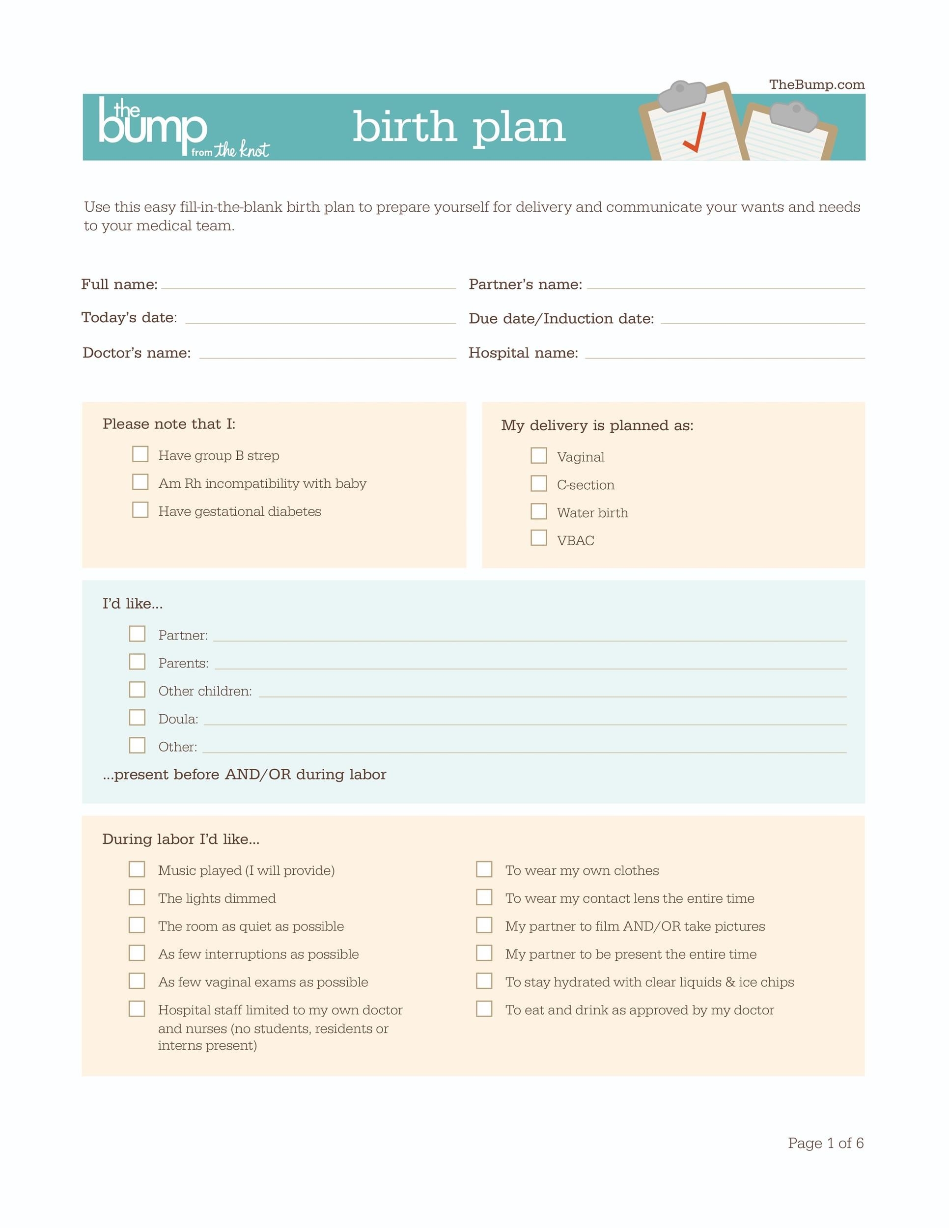 Downloadable Printable Editable Birth Plan Template