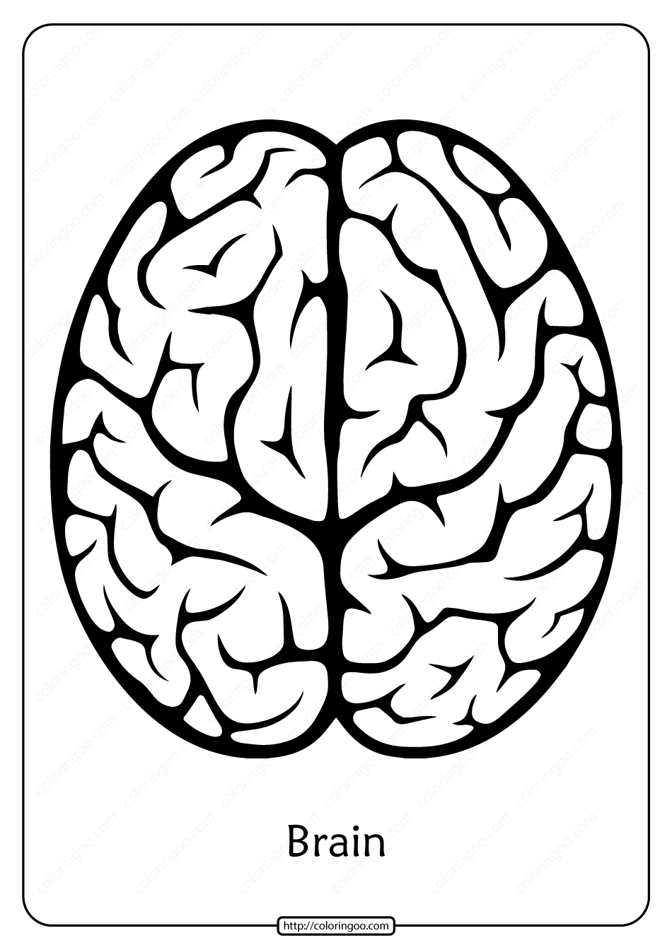 Brain Png Images