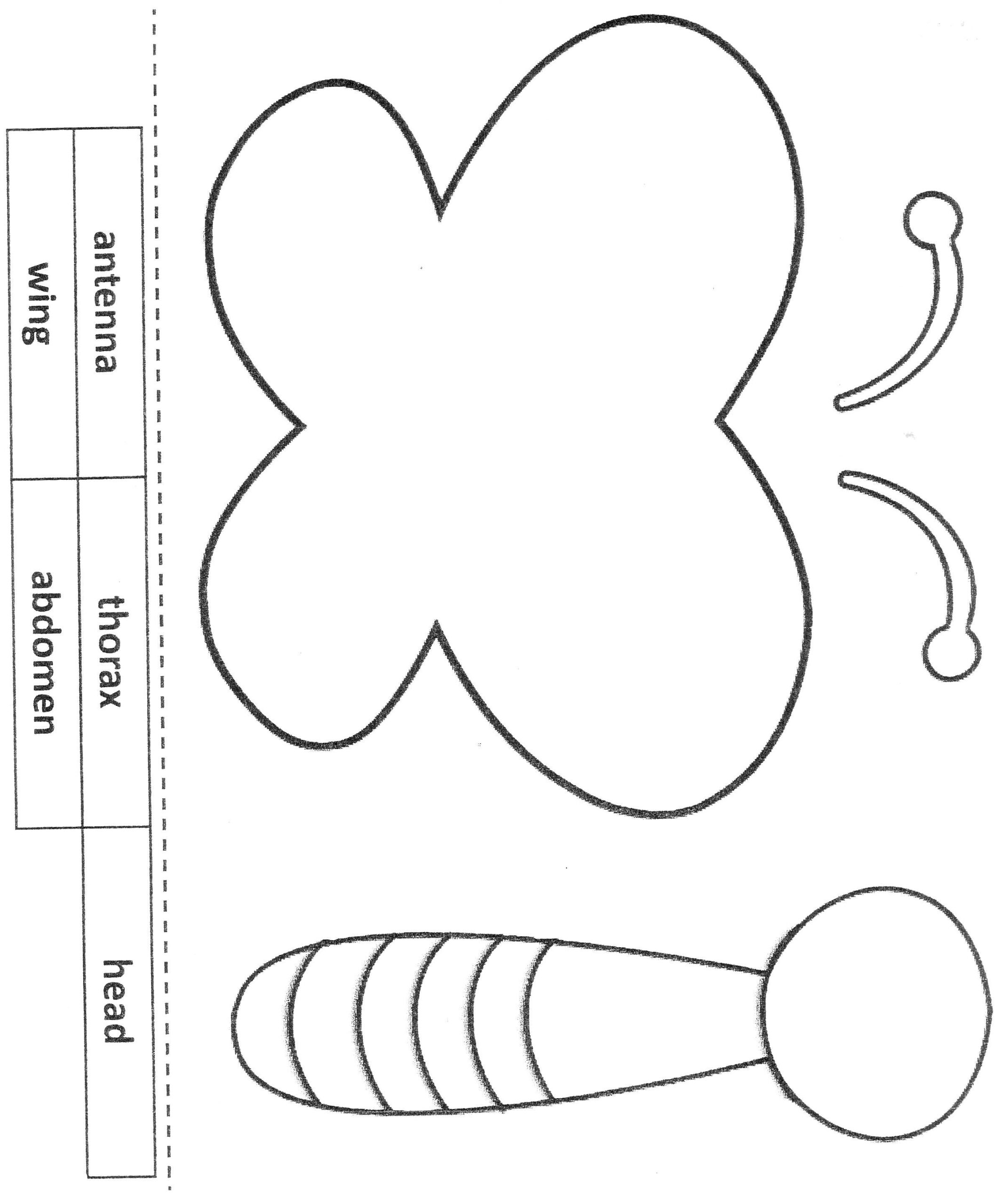Butterfly Body Template Printable