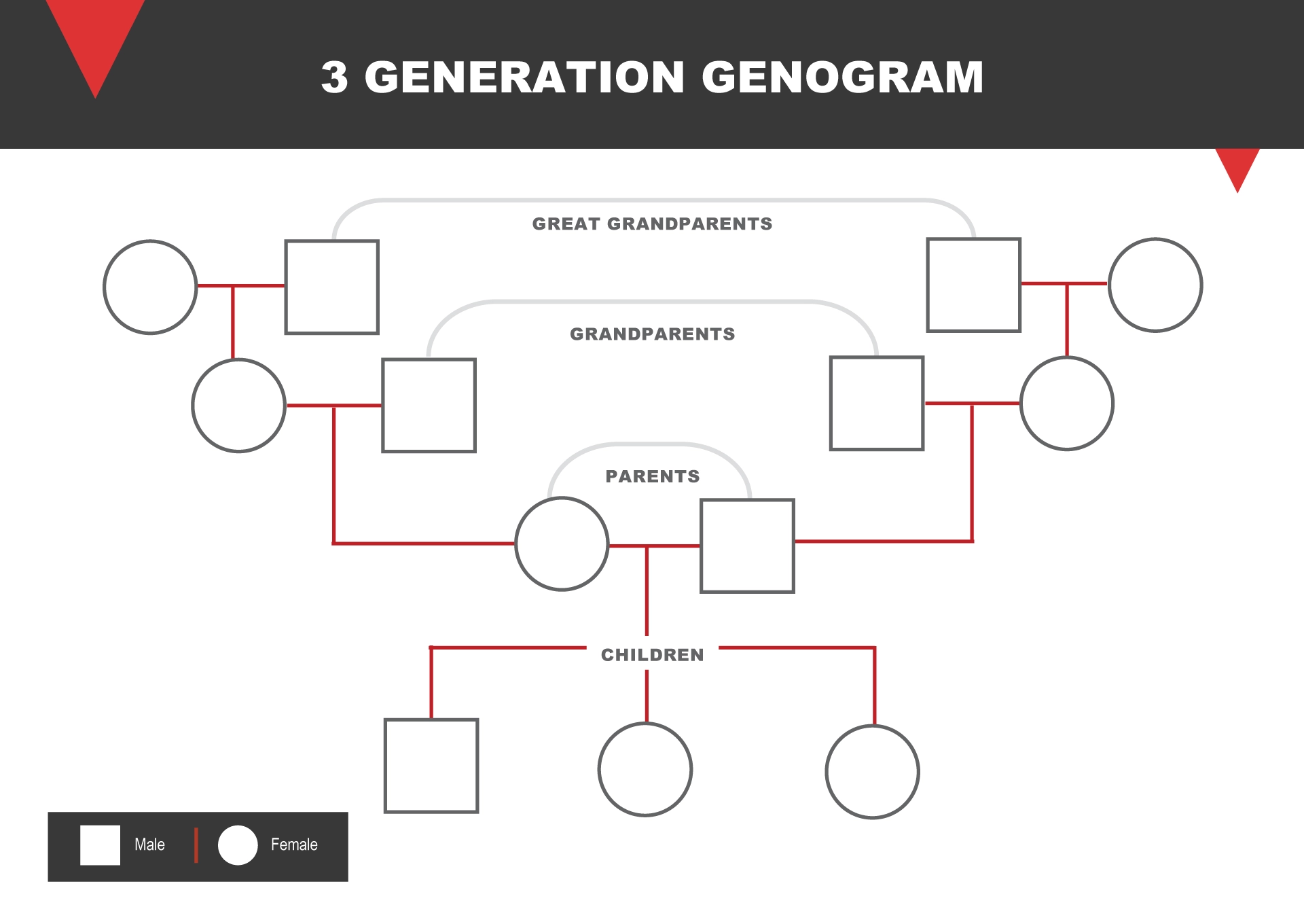 Free Genogram Templates Word PowerPoint Slides WordLayouts