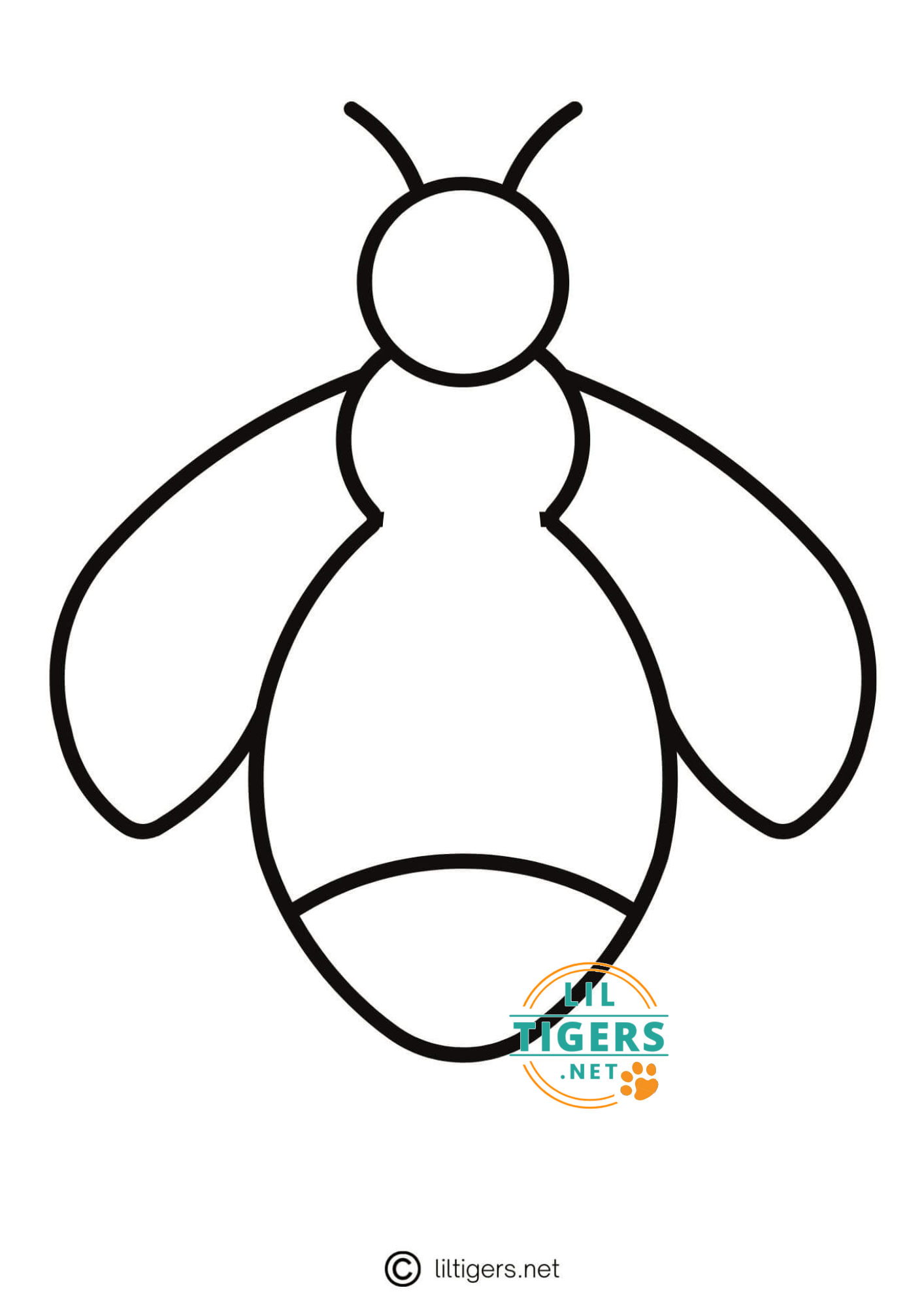 Free Printable Firefly Craft Templates Lil Tigers