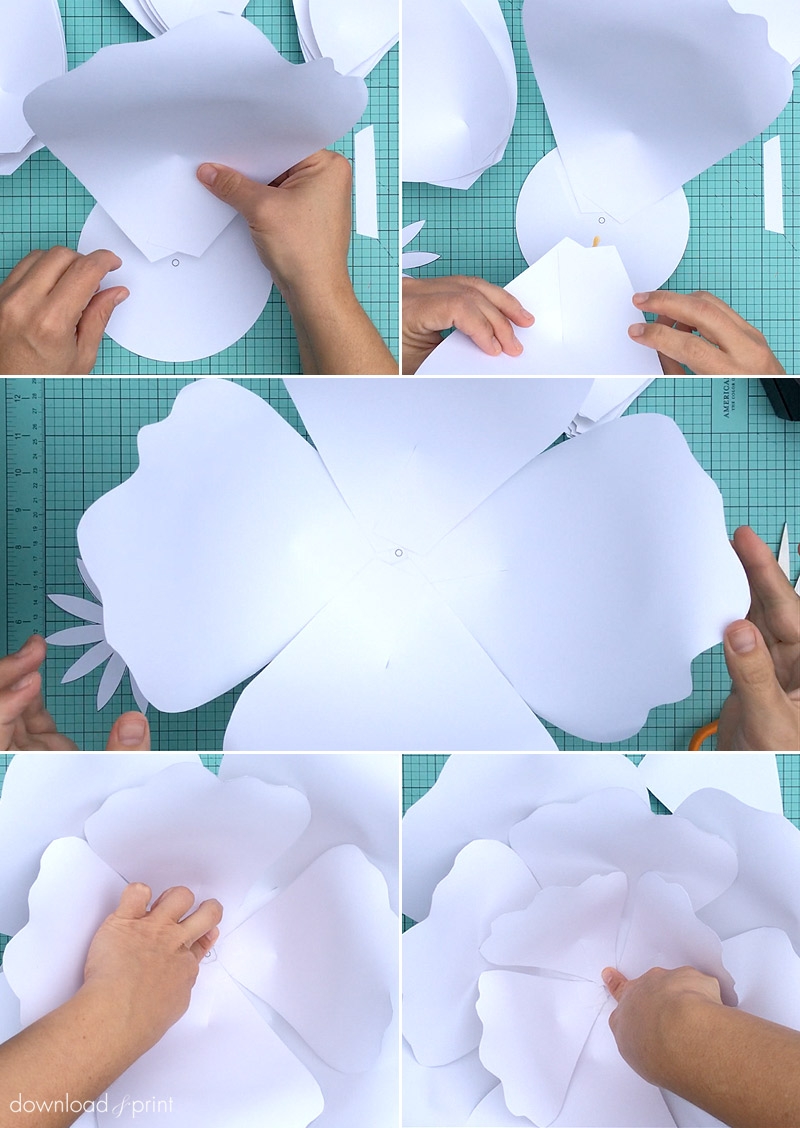 Free Large Paper Rose Template Printable