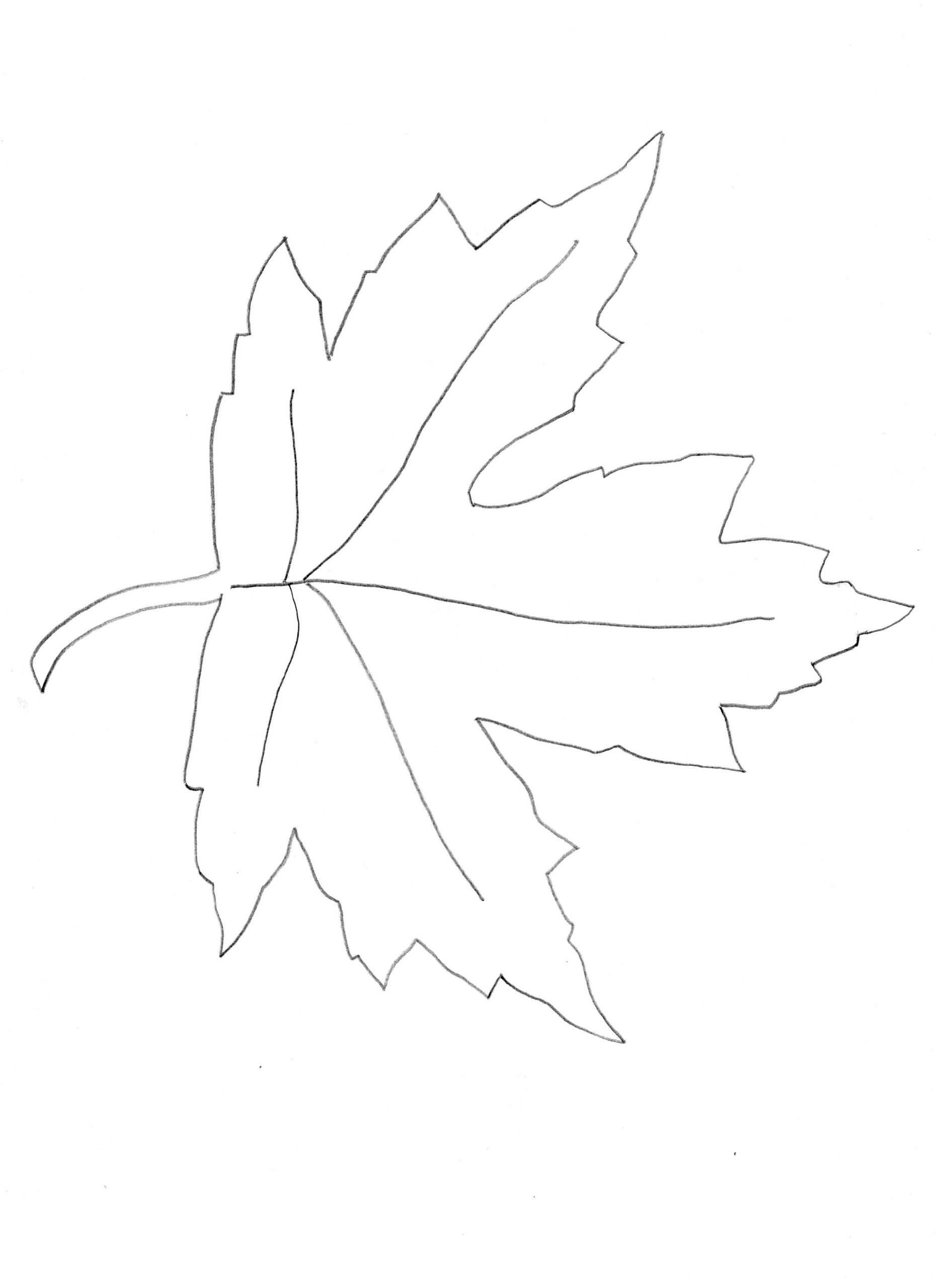 Maple Leaf Template WeAllSew
