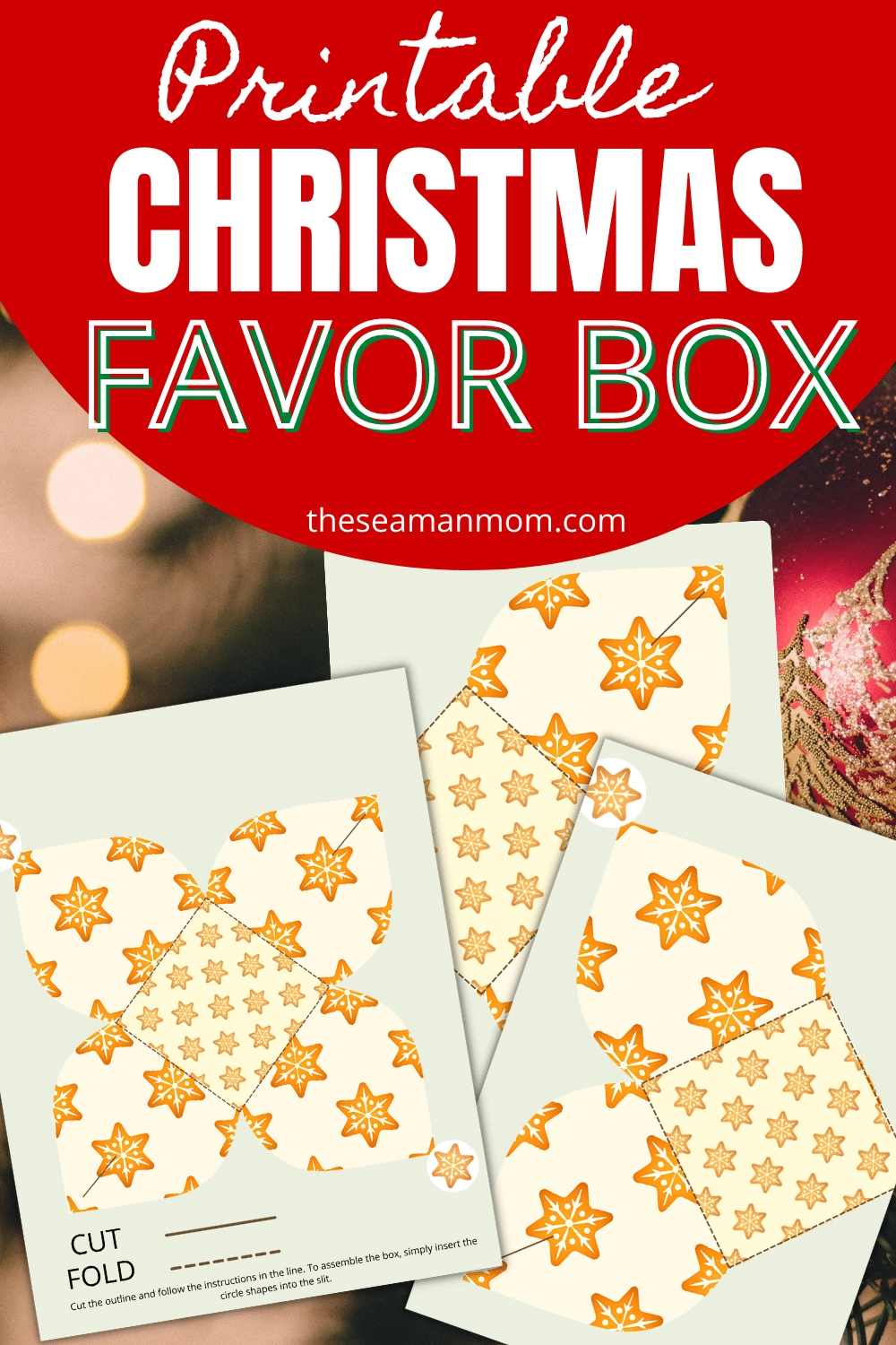 Printable Christmas Gift Box Template