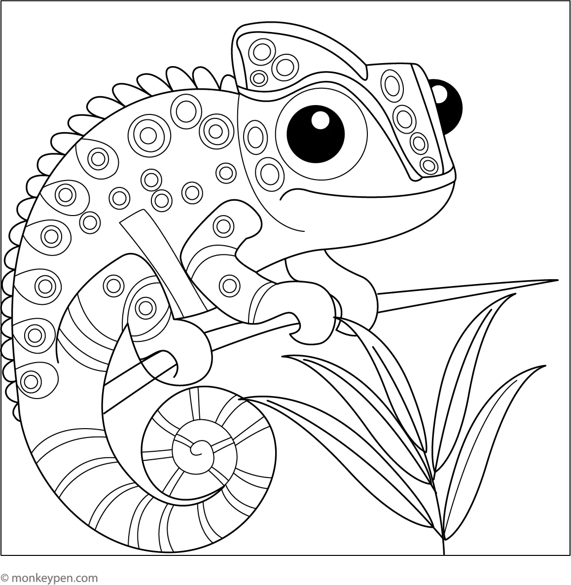 Simple Chameleon Easy And Fun Coloring Page For Kids Simple Chameleon Easy And Fun Coloring Page For Kids