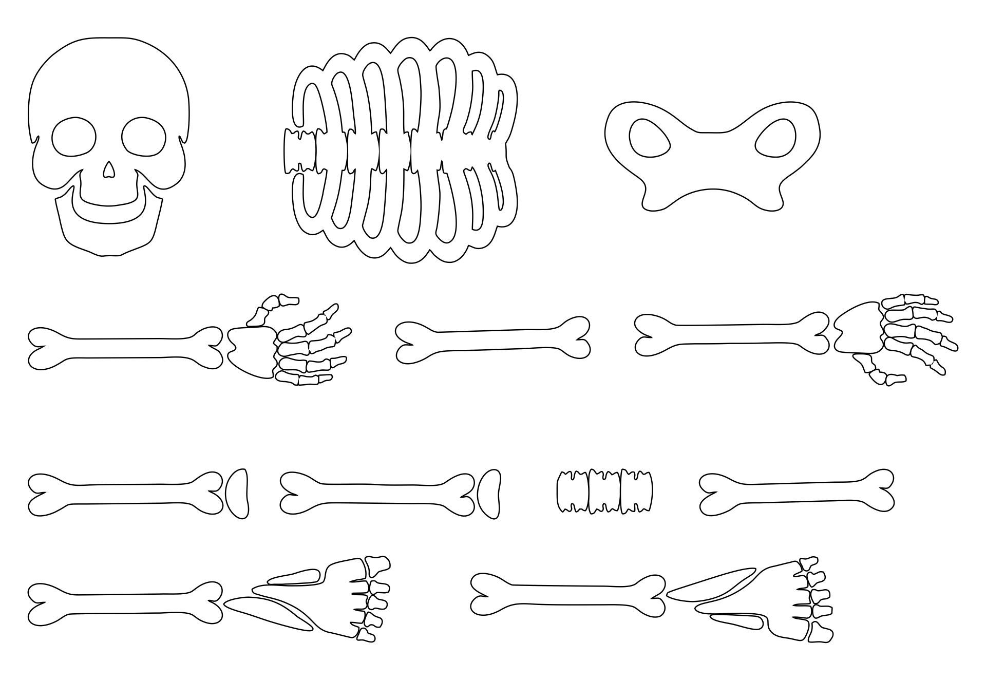 Bone Template Printable